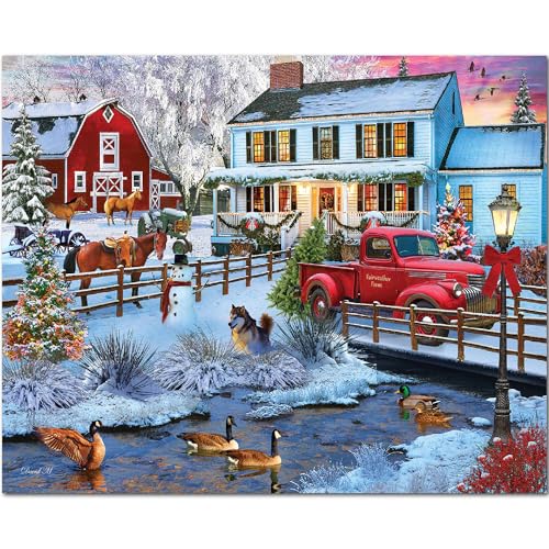 1000 Piece Jigsaw Puzzle 24"x30" V769