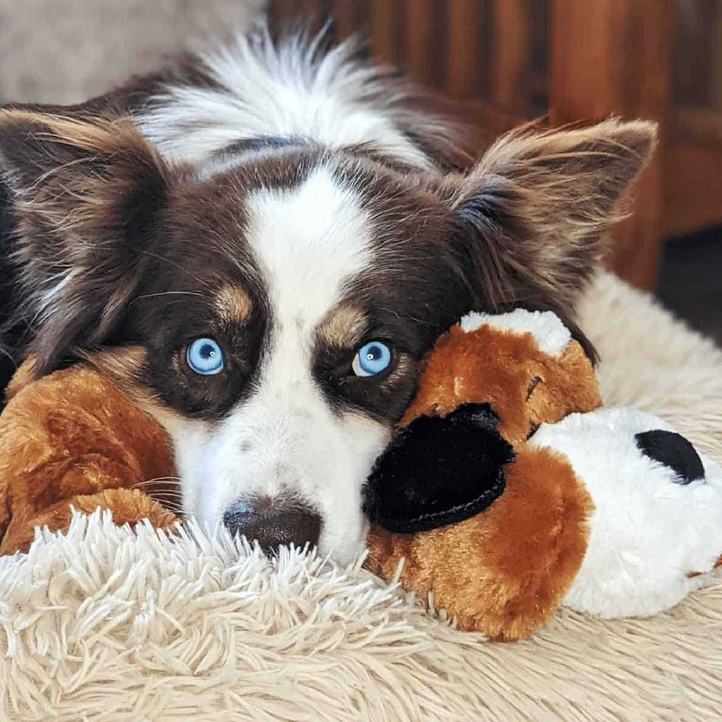 Brown and White Snuggle Puppy B2580