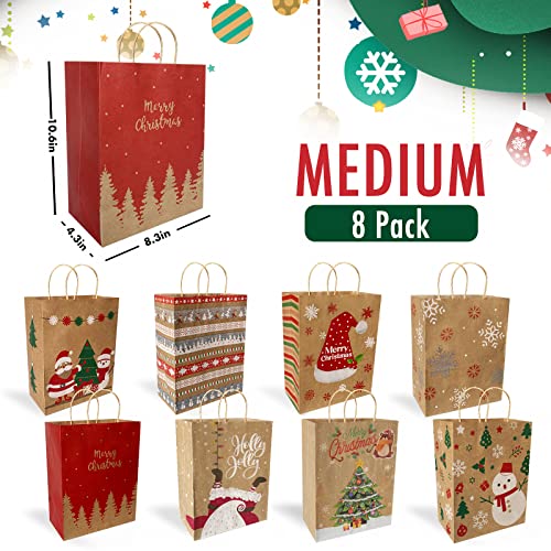 24 Pack Assorted Sizes Kraft Paper Bags with Handles and 50 Tags C48045