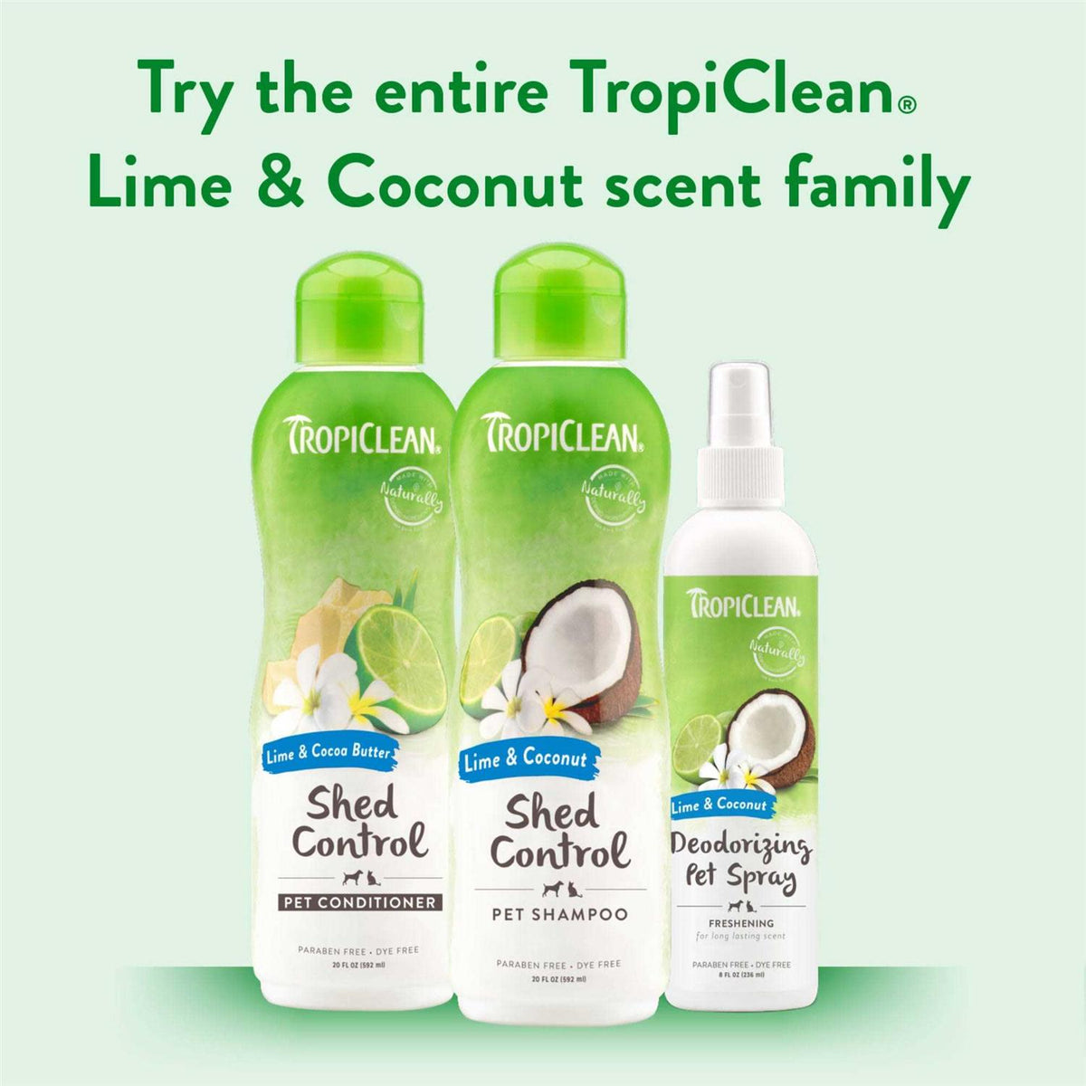 Lime & Coconut Shampoo K353717