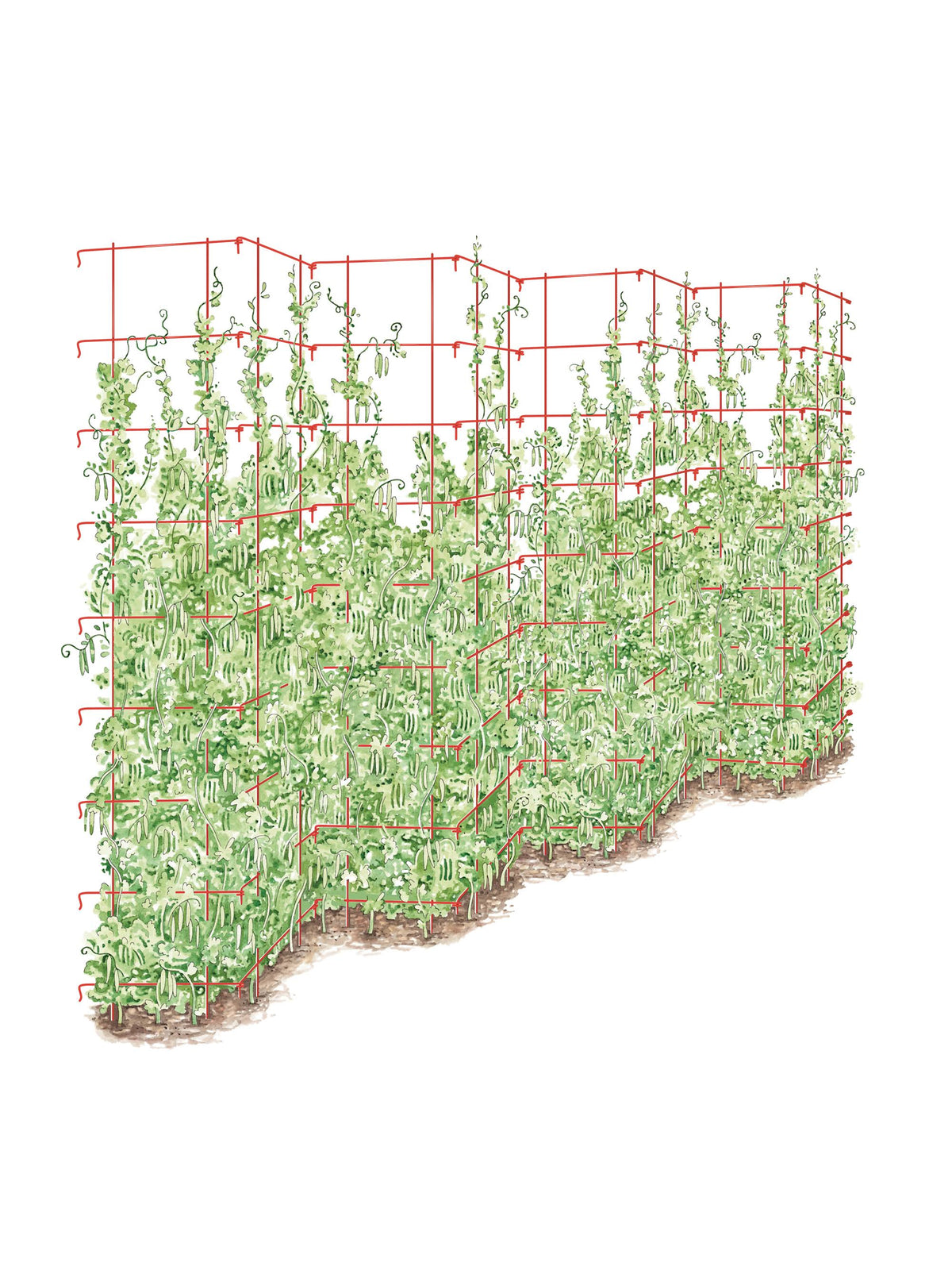 Tall Expandable Pea Trellis Storm Blue R130