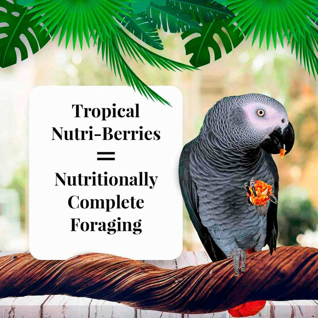 Parrot Food F1196