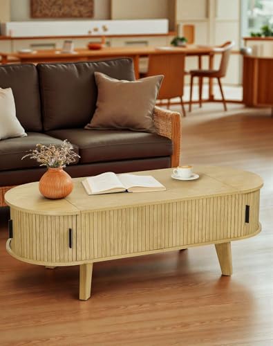 Lift Top Coffee Table with Storage I419