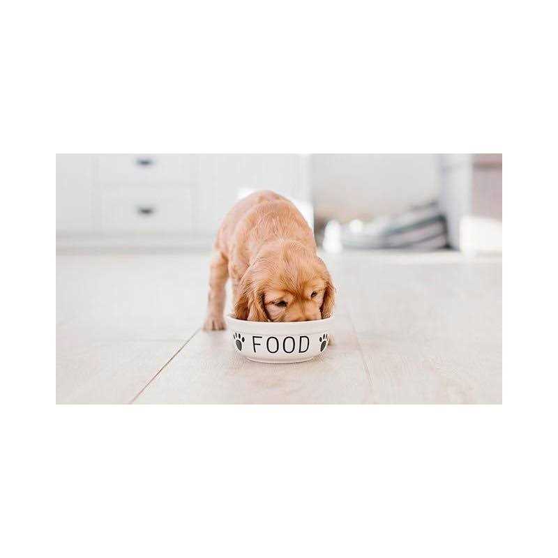 Chicken Rice Vegetable Dog Food S578794
