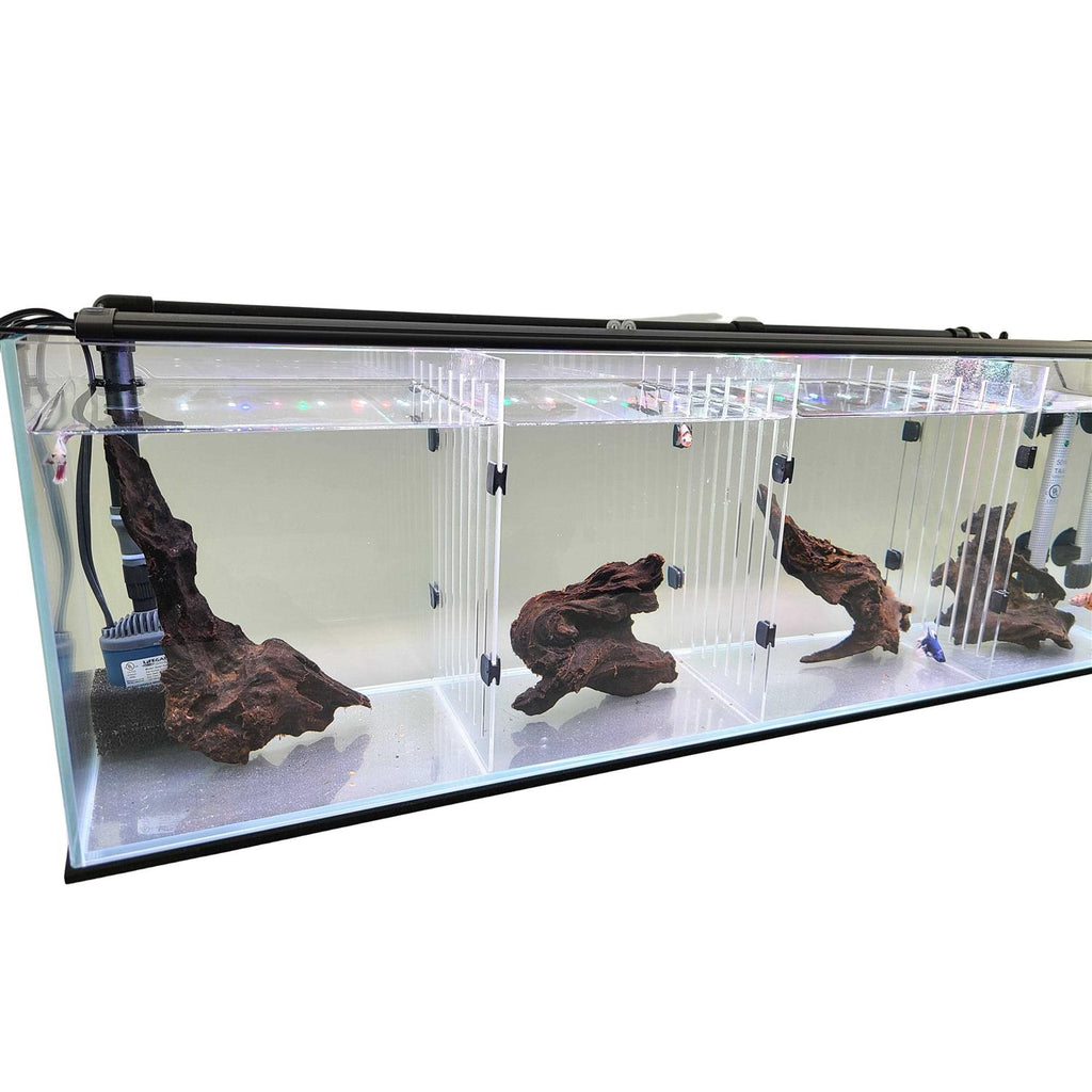 Aquarium W9748