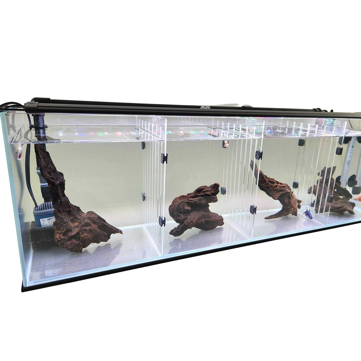 Aquarium W9748