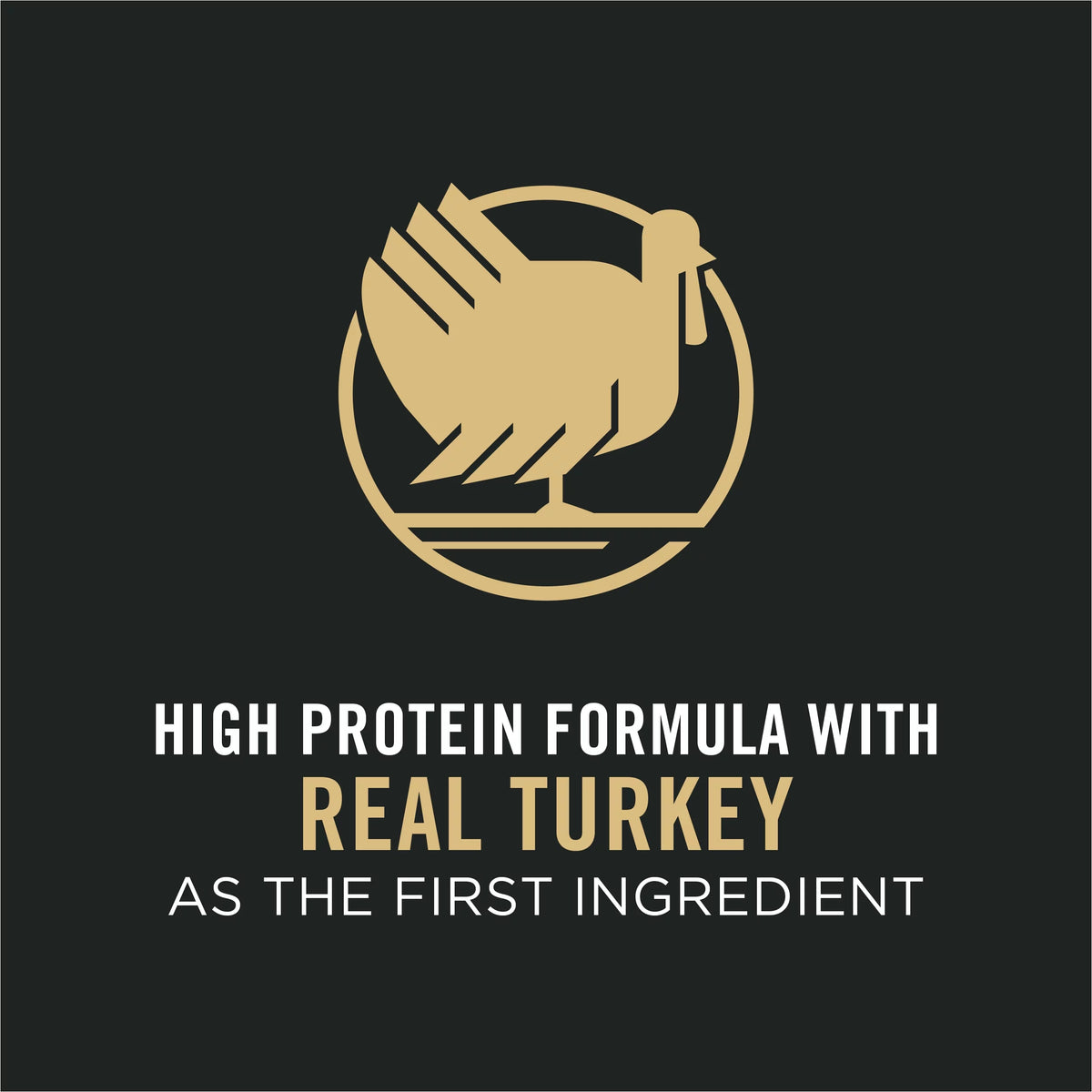 Shredded Blend Turkey & Rice Formula Dog Food, 33 lb. Bag J7545