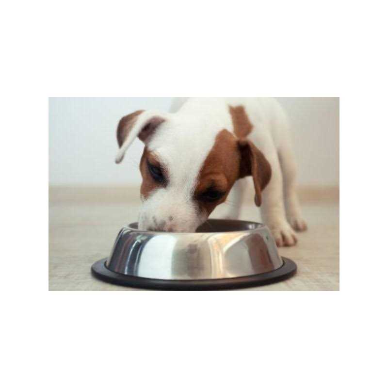 Chicken Rice Vegetable Dog Food S578794