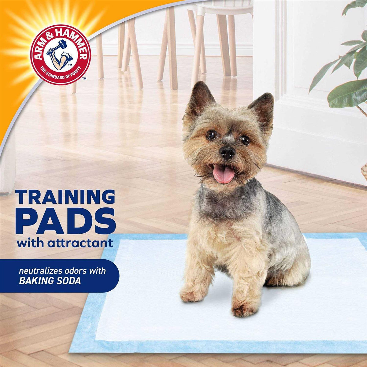 Dog Puppy Training Pads with Attractant B504967