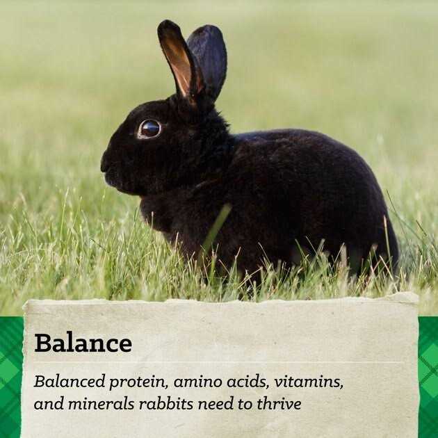 15% Rabbit Feed X605749