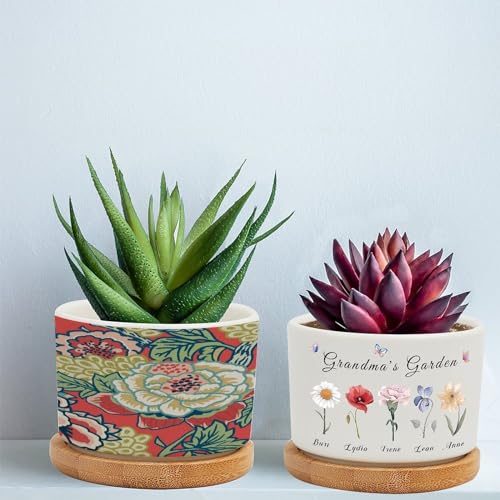 Pink and Blue Ceramic Round Flower Pots with Drainage Holes and Bamboo Tray K72412