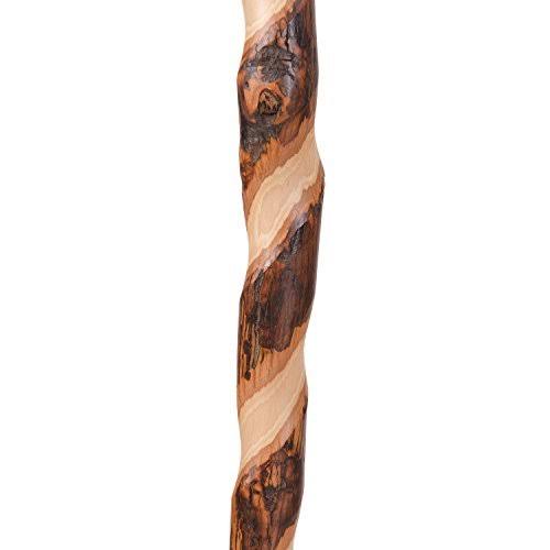 37x22 Twisted Hickory Walking Cane W923