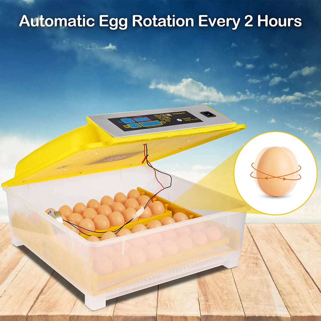 48 Eggs Automatic Incubator with Temperature Control and Automatic Egg Turning D365232