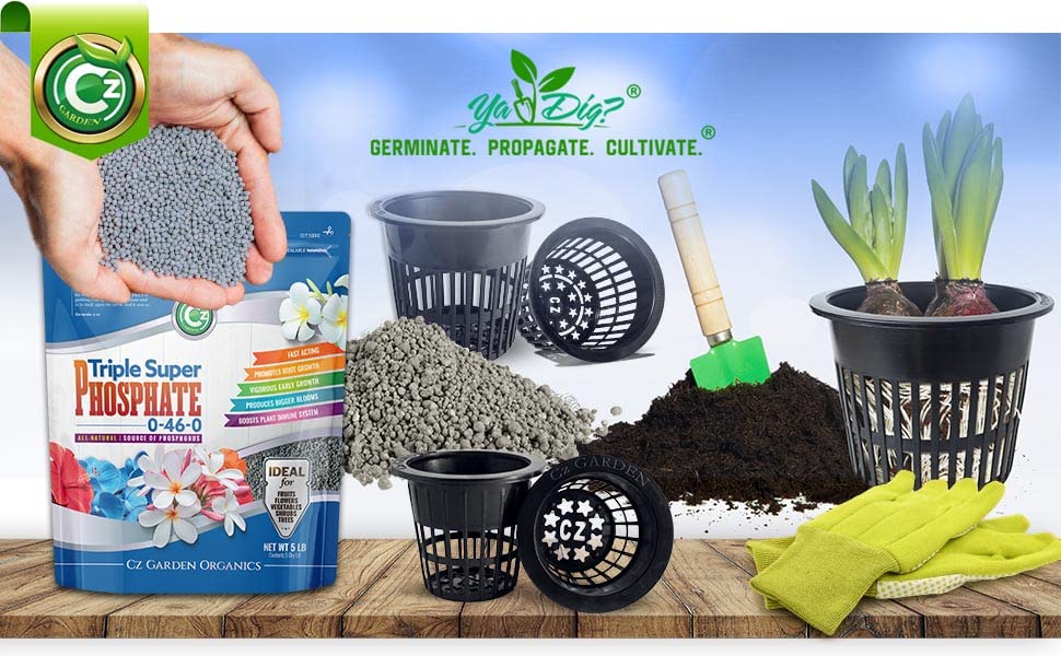 Triple Super Phosphate 0-46-0 Fertilizer U79512