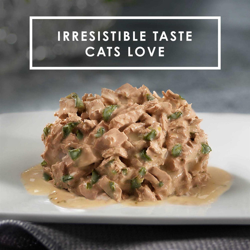 Canned Cat Food X532