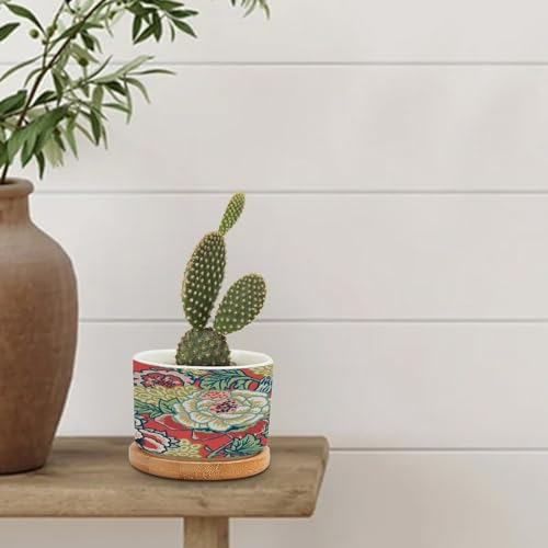 Pink and Blue Ceramic Round Flower Pots with Drainage Holes and Bamboo Tray K72412