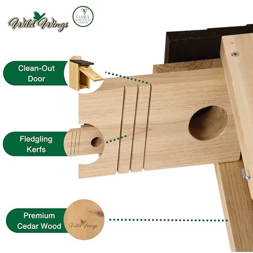 Cedar Blue Bird Box House Z323311