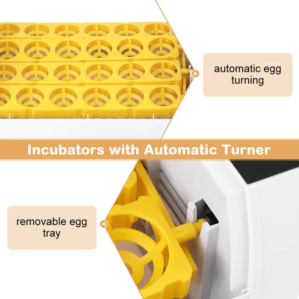 48 Eggs Automatic Incubator with Temperature Control and Automatic Egg Turning D365232