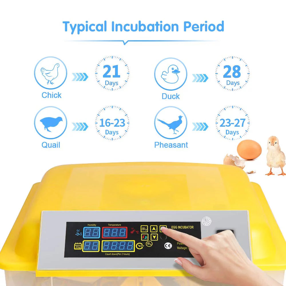 48 Eggs Automatic Incubator with Temperature Control and Automatic Egg Turning D365232