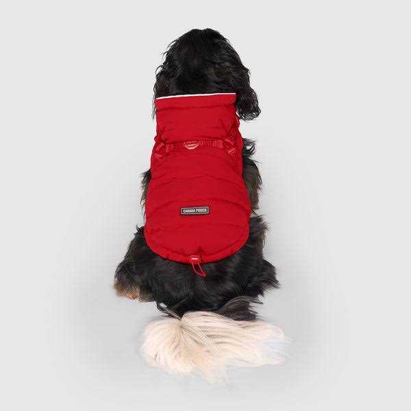 Black Harness Puffer D573822