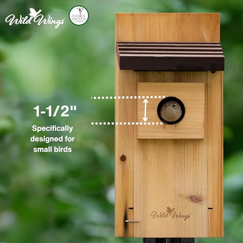 Cedar Blue Bird Box House Z323311