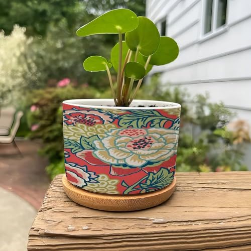 Pink and Blue Ceramic Round Flower Pots with Drainage Holes and Bamboo Tray K72412