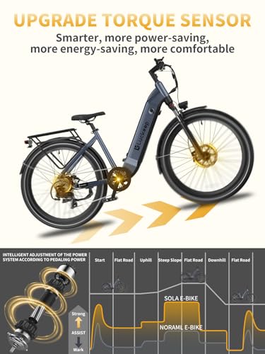 27.5" Electric Bike with 48V Battery, Front Suspension & Dual Hydraulic Brakes M92484