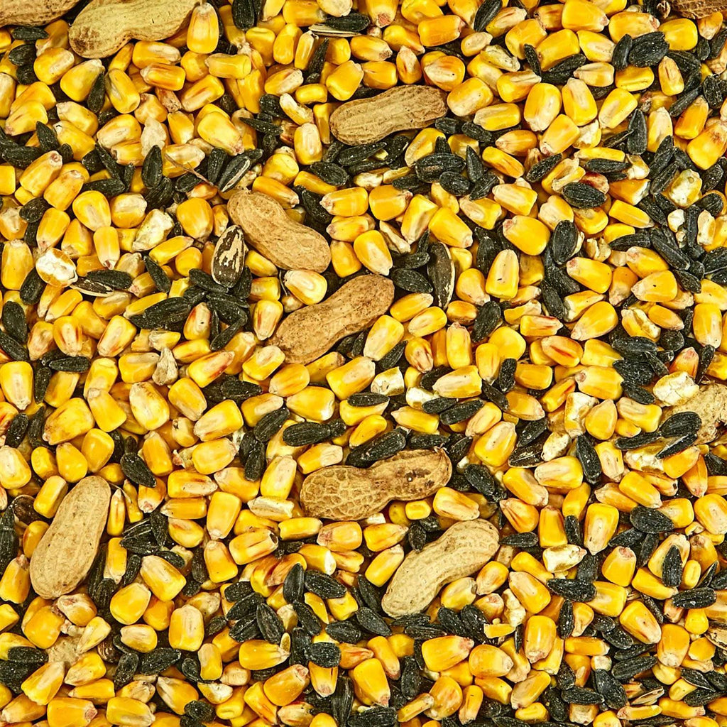 Squirrel Food W7889