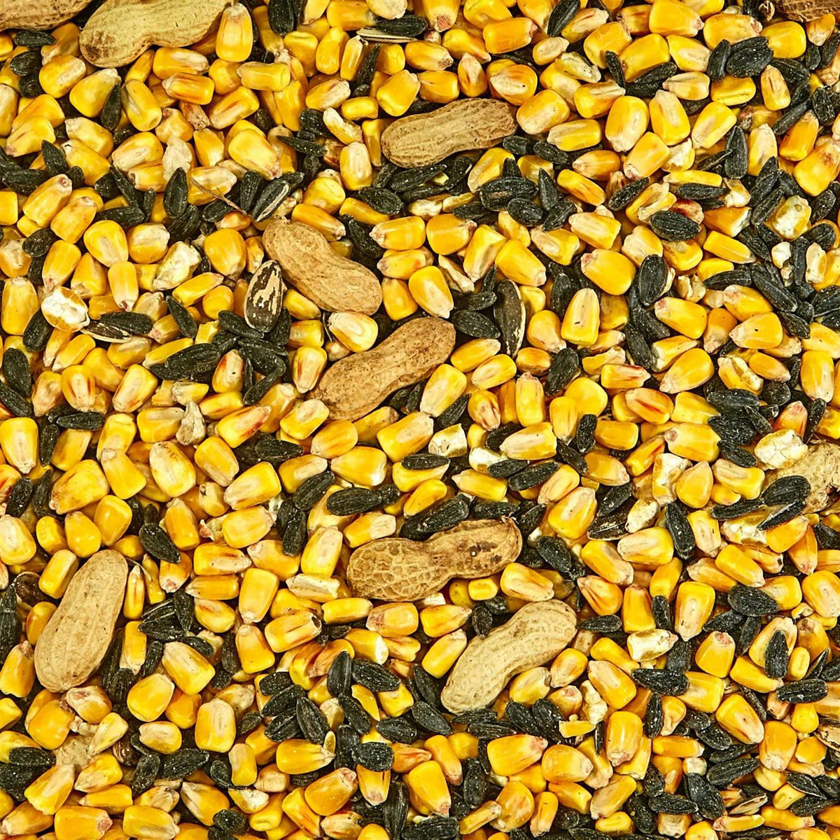 Squirrel Food W7889