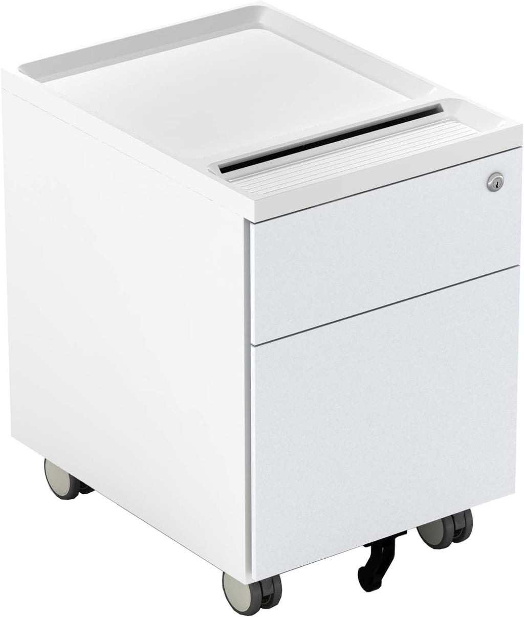 2 Drawer Metal Vertical File Cabinet with Lock and Casters U51340