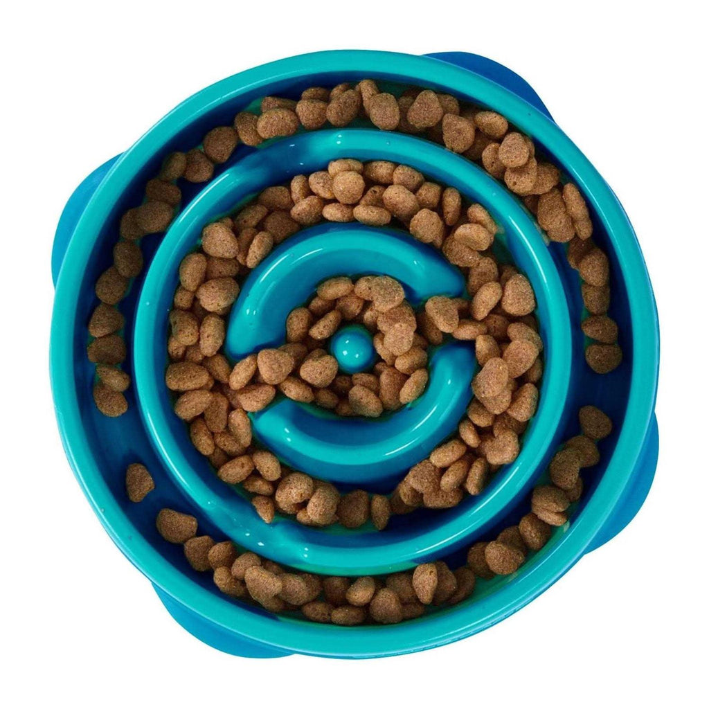 Fun Feeder Bowl A976