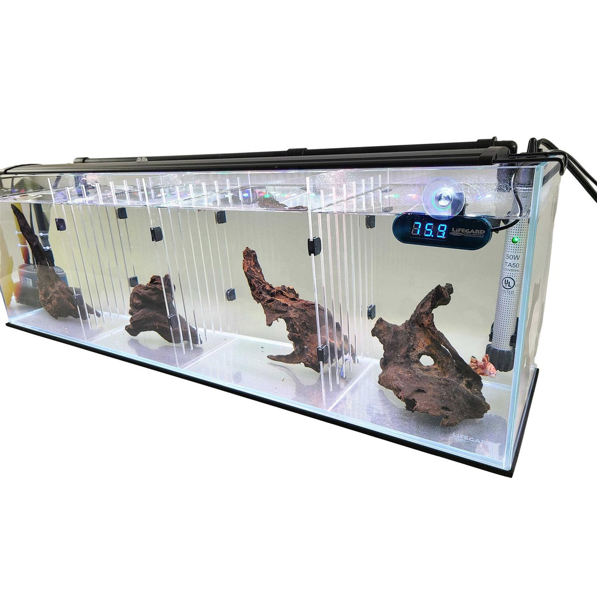 Aquarium W9748
