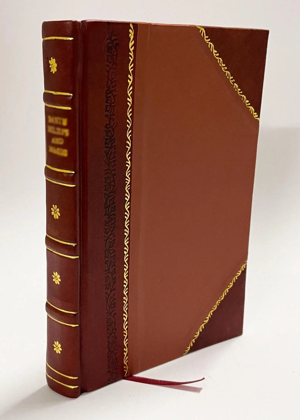 Meditations on the Passion of Our Lord Jesus Christ Leather Bound N191703