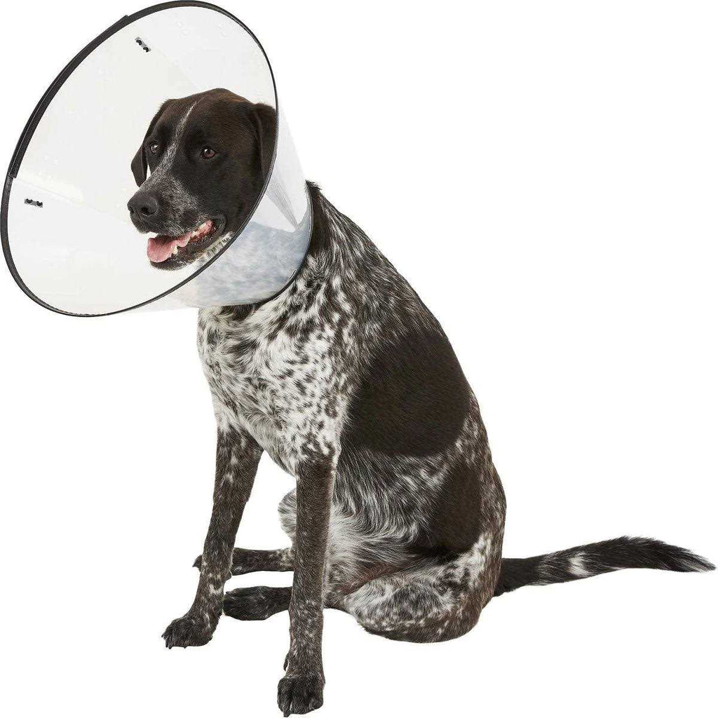 Large Rigid E-Collar U818122