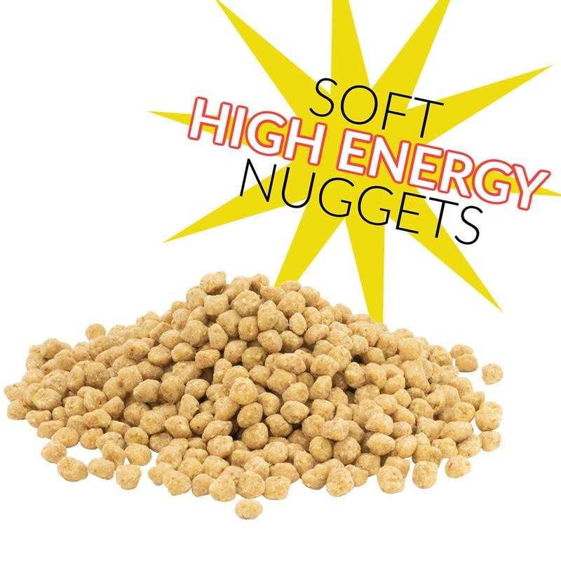 Peanut Suet Nuggets U184