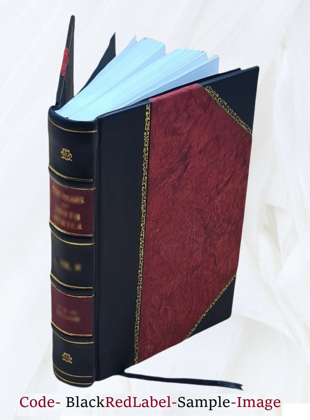 1895 Leather Bound Book H1696