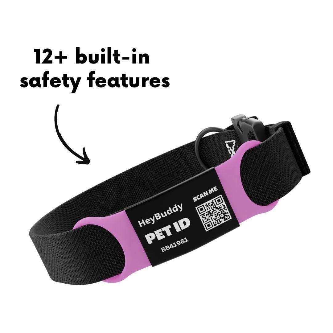 Noiseless QR Code Pet Tag A6060