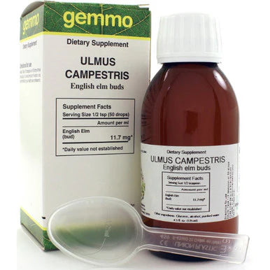 Ulmus campestris 125 ml K200