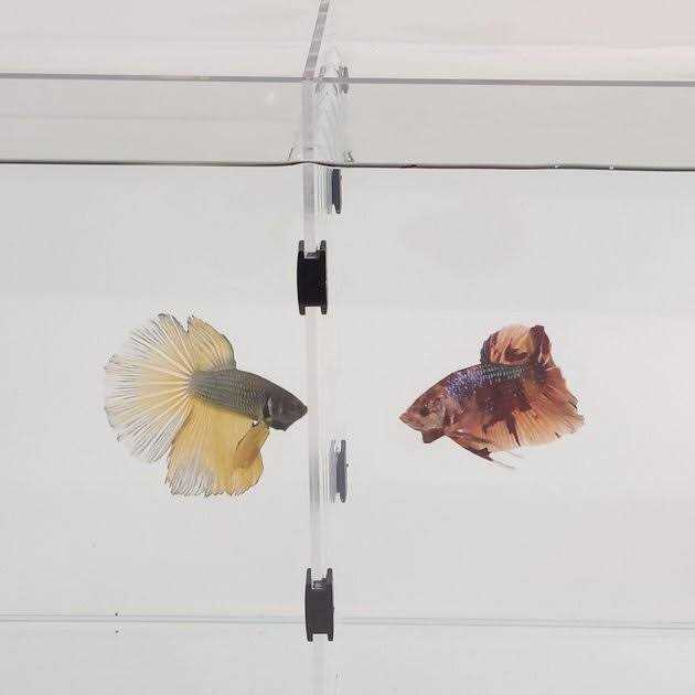 Aquarium W9748