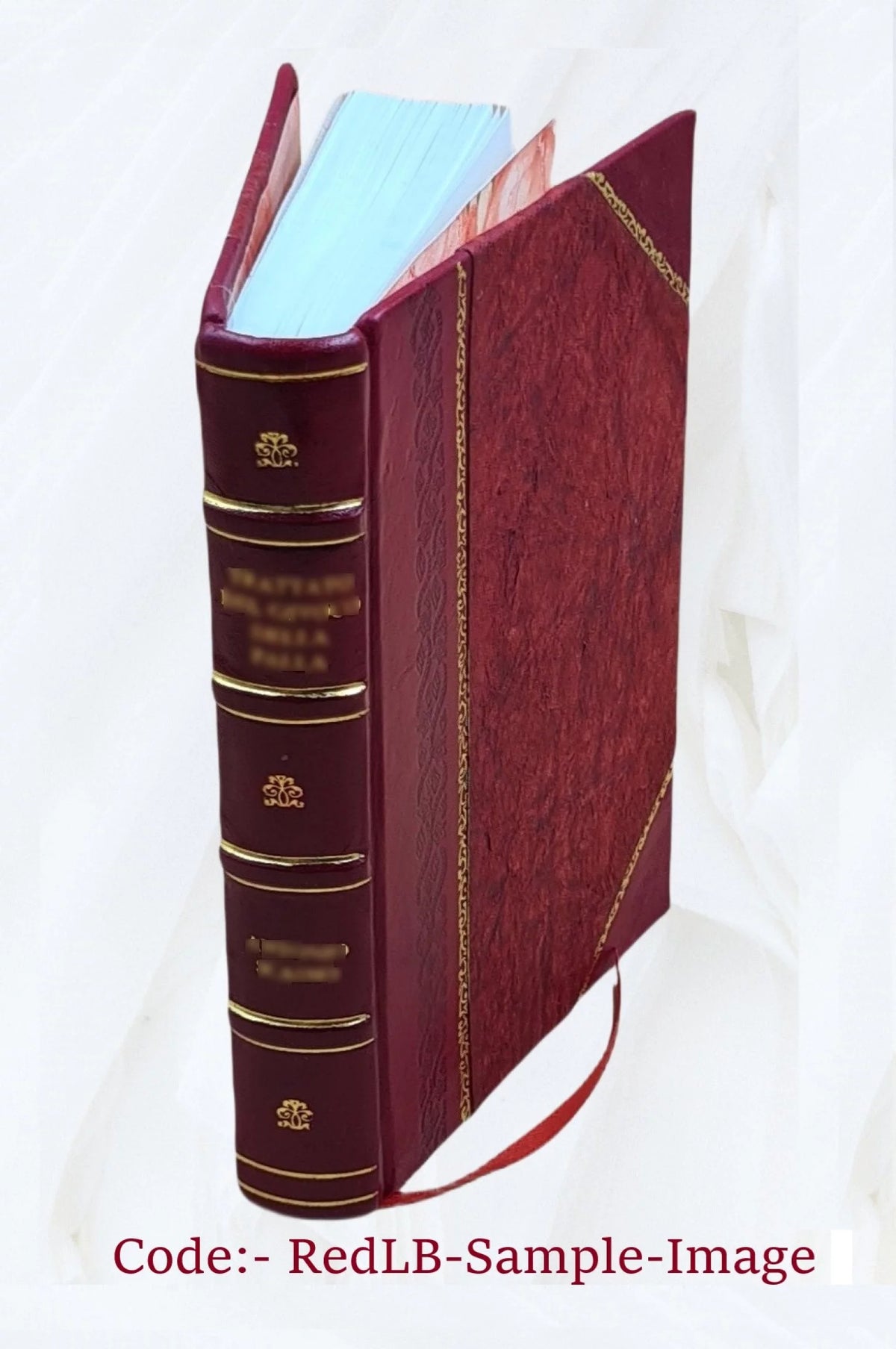 1895 Leather Bound Book H1696