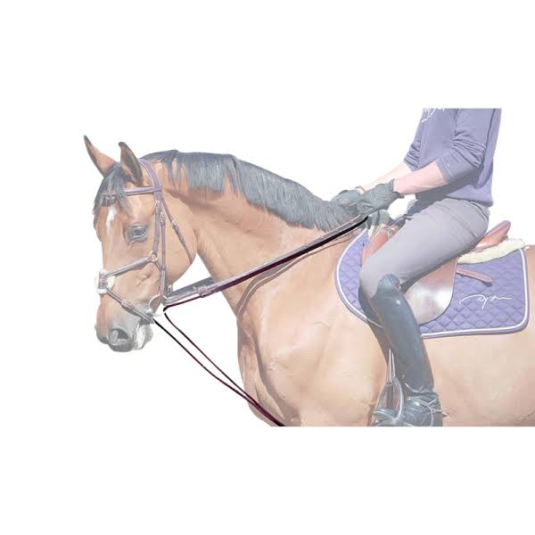Leather/Nylon Draw Reins T97227