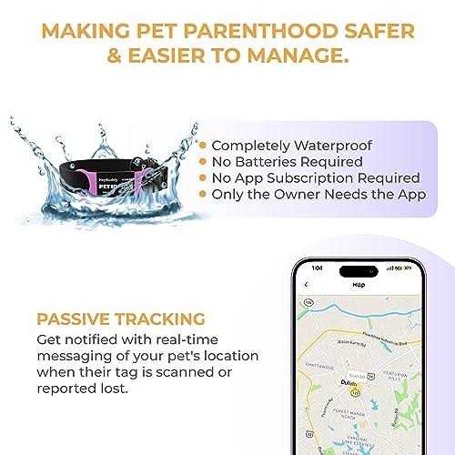 Noiseless QR Code Pet Tag A6060