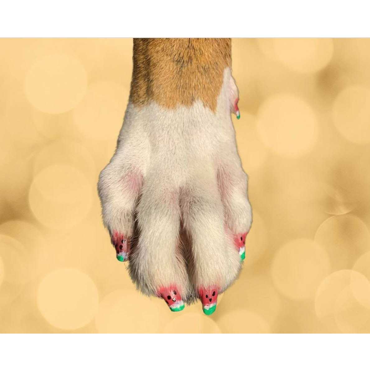 Dog Nail Polish Pen G4640