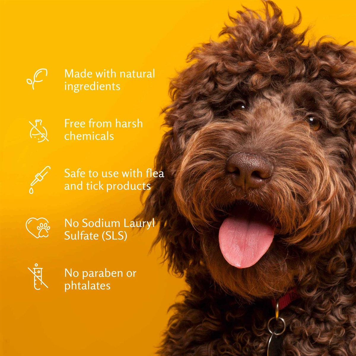 Deodorizing Dog Shampoo E63705