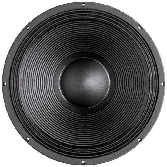18x22 Professional Neodymium Subwoofer 4 Ohm Z82502